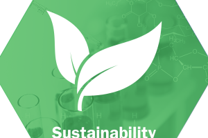 What is Sustainability?